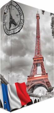 Registrator Street My city z 4 rinkami 4987