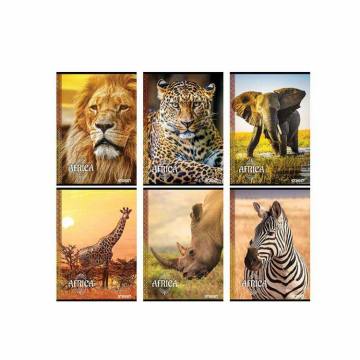 Zvezek Street Africa A4 brezčrtni A4 5044