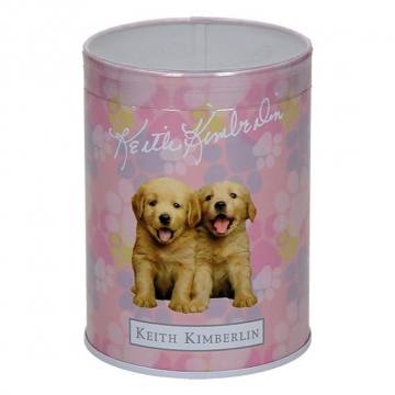 LONČEK ZA PISALA PIGNA MODA K.KIMBERLIN 9068