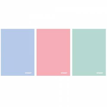 ZVEZEK STREET PASTEL PP A4 1R 42L A4 9164