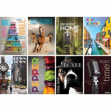 Zvezek A4, visoki karo (različni motivi) A4 9261