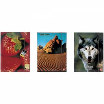 MAPA Z ELASTIKO PIGNA FRUITS,SEASONS 10838