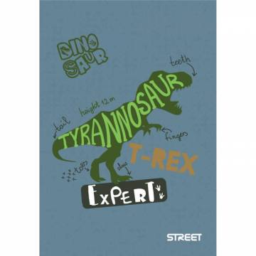 Beležka A6, STREET DINO A6 10871