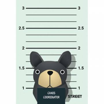 Beležka A6, STREET BUSTED A6 10873