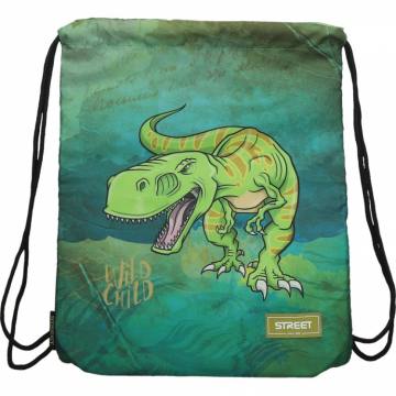 Vrečka Za Copate Dinosaur 12162