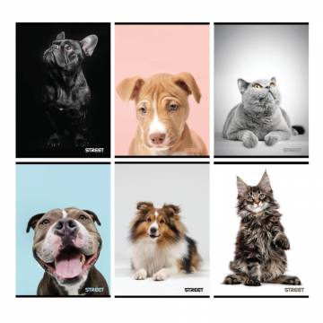 Zvezek Street Friends A4 brezčrtni A4 12406